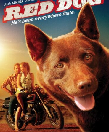 Kırmızı Köpek 1080p Türkçe Dublaj & Altyazılı İndir…