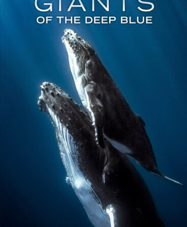 Giants of the Deep Blue 1080p Türkçe Dublaj &…