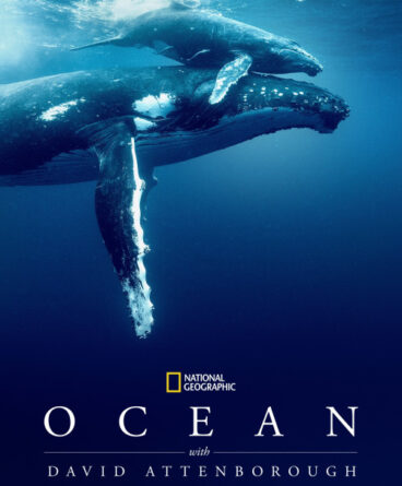 Ocean with David Attenborough 1080p Türkçe Dublaj İndir