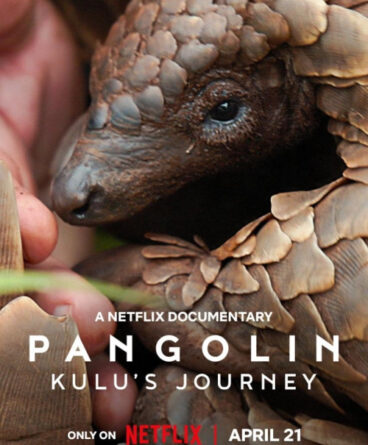 Pangolin: Kulu’nun Yolculuğu 1080p Türkçe Dublaj…