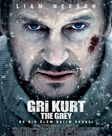 Gri Kurt 1080p Türkçe Dublaj İndir
