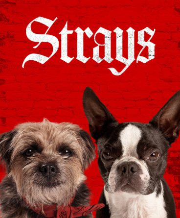 Strays 1080p Türkçe Dublaj & Altyazılı İndir – Dual
