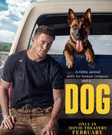 Dog 1080p Türkçe Altyazılı indir – 2022