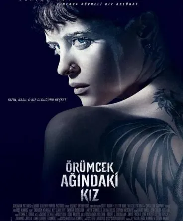 Örümcek Ağındaki Kız 1080p Türkçe Dublaj indir