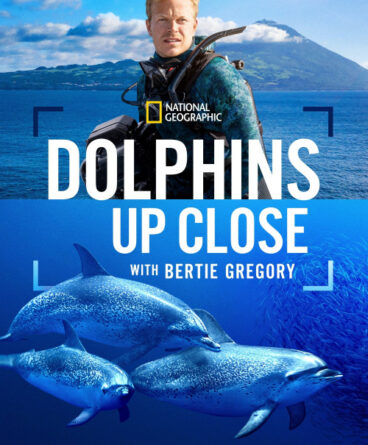 Dolphins Up Close with Bertie Gregory 1080p Türkçe…
